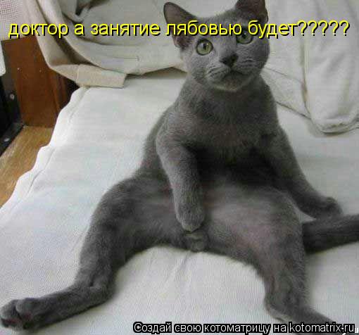 доктор а занятие лябовью будет?????... Котоматрица: доктор а занятие лябовью будет?????
