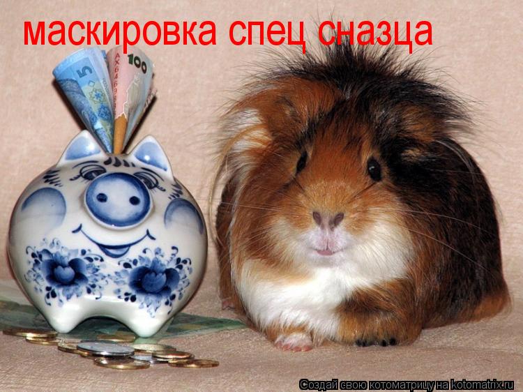 маскировка спец сназца... Котоматрица: маскировка спец сназца