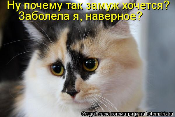 Ну почему так замуж хочется? Заболела я, наверное?... Котоматрица: Ну почему так замуж хочется? Заболела я, наверное?