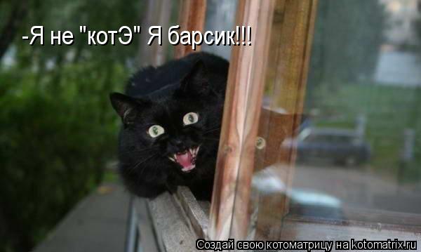 -Я не "котЭ" Я барсик!!!... Котоматрица: -Я не "котЭ" Я барсик!!!