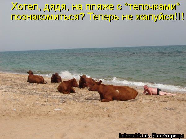 познакомиться? Теперь не жалуйся!!! Хотел, дядя, на пляже с *телочками*... Котоматрица: познакомиться? Теперь не жалуйся!!! Хотел, дядя, на пляже с *телочками*