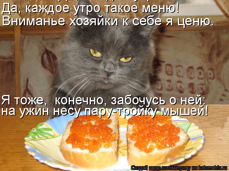 Вниманье хозяйки к себе я ценю. Да, каждое утро такое меню.... Да, каждое утро такое меню! Я тоже, к... Котоматрица: Вниманье хозяйки к себе я ценю. Да, каждое утро такое меню.... Да, каждое утро такое меню! Я тоже, конечно, забочусь о ней: на ужин несу пару-тро
