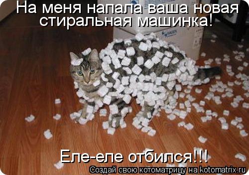 На меня напала ваша новая стиральная машинка! Еле-еле отбился!!!... Котоматрица: На меня напала ваша новая стиральная машинка! Еле-еле отбился!!!