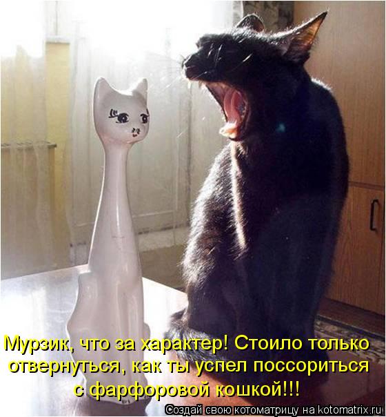 Мурзик, что за характер! Стоило только отвернуться, как ты успел поссориться с фарфоровой кошкой!!!... Котоматрица: Мурзик, что за характер! Стоило только отвернуться, как ты успел поссориться с фарфоровой кошкой!!!
