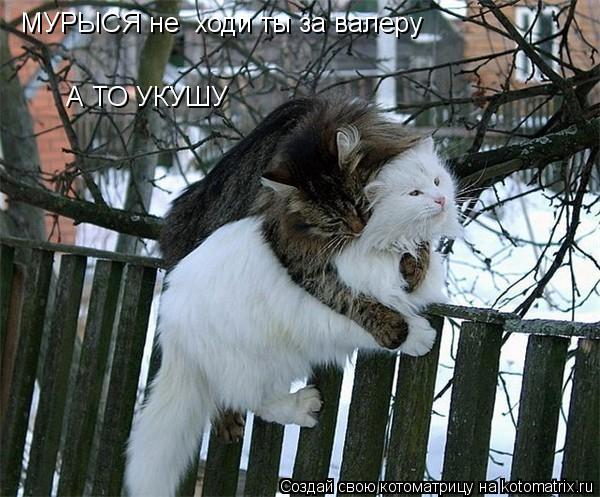 МУРЫСЯ не ходи ты за валеру А ТО УКУШУ... Котоматрица: МУРЫСЯ не ходи ты за валеру А ТО УКУШУ