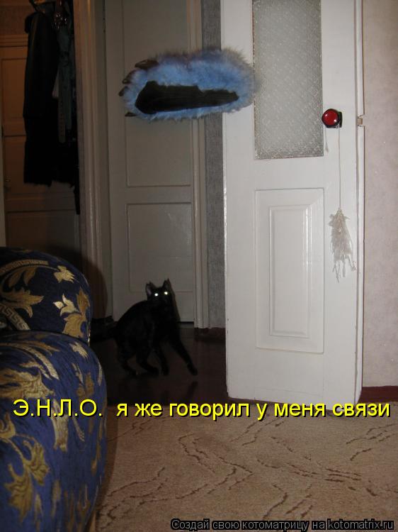 Э.Н.Л.О. я же говорил у меня связи... Котоматрица: Э.Н.Л.О. я же говорил у меня связи