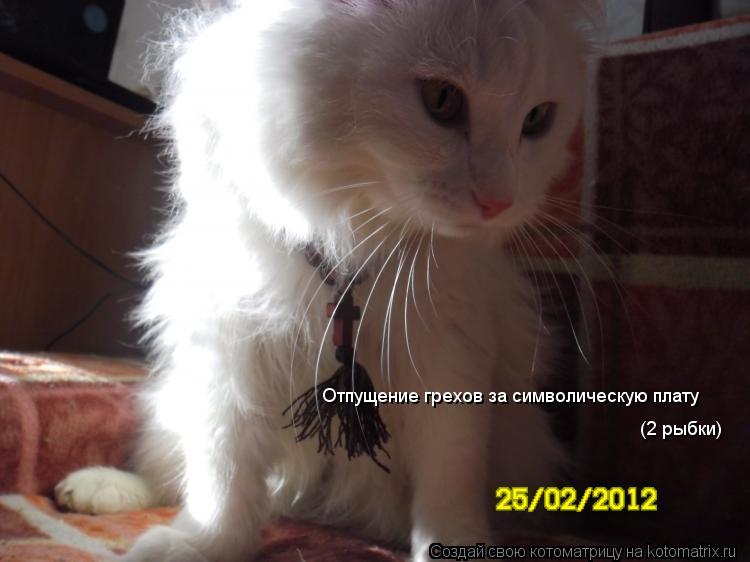 Отпущение грехов за символическую плату (2 рыбки)... Котоматрица: Отпущение грехов за символическую плату (2 рыбки)
