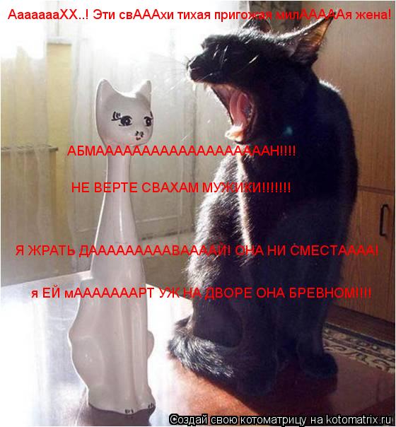 АааааааХХ..! Эти свАААхи тихая пригожая милАААААя жена! Я ЖРАТЬ ДАААААААААВААААЙ! ОНА НИ СМЕСТАААА! ... Котоматрица: АааааааХХ..! Эти свАААхи тихая пригожая милАААААя жена! Я ЖРАТЬ ДАААААААААВААААЙ! ОНА НИ СМЕСТАААА! я ЕЙ мАААААААРТ УЖ НА ДВОРЕ ОНА БРЕВНОМ!!