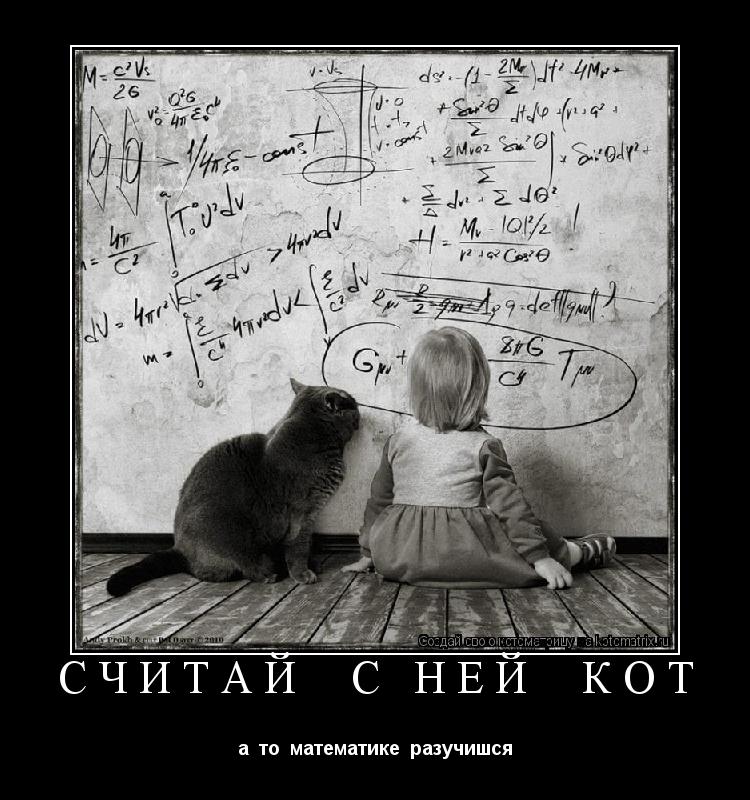 считай с ней кот а то математике разучишся... Котоматрица: считай с ней кот а то математике разучишся