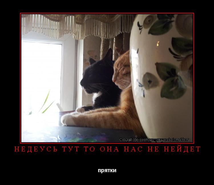 недеусь тут то она нас не нейдёт прятки... Котоматрица: недеусь тут то она нас не нейдёт прятки