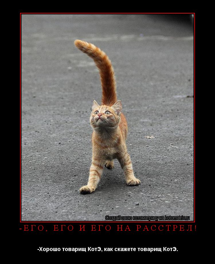 -Его, его и его на расстрел! -Хорошо товарищ КотЭ, как скажете товарищ КотЭ.... Котоматрица: -Его, его и его на расстрел! -Хорошо товарищ КотЭ, как скажете товарищ КотЭ.