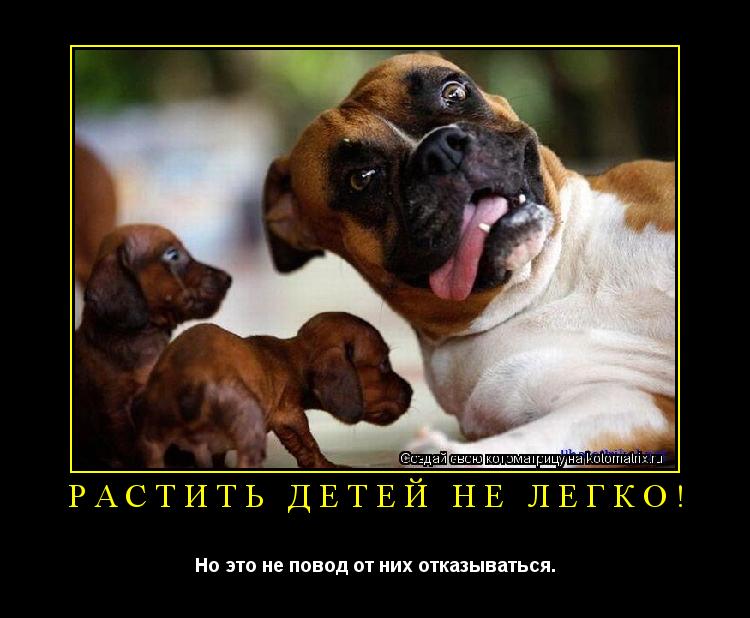 Растить детей не легко! Но это не повод от них отказываться.... Котоматрица: Растить детей не легко! Но это не повод от них отказываться.