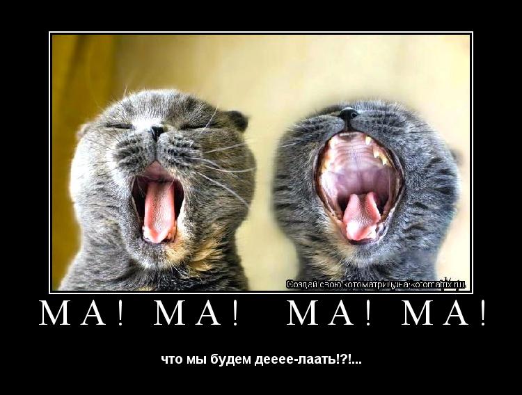 МА! ма! МА! ма! что мы будем дееее-лаать!?!...... Котоматрица: МА! ма! МА! ма! что мы будем дееее-лаать!?!...