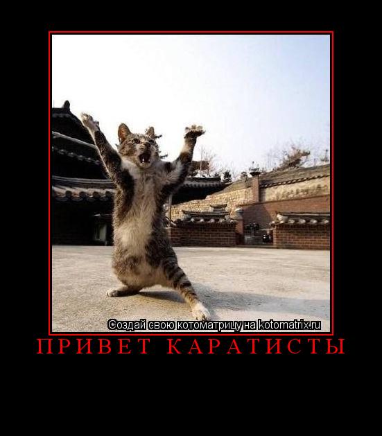 привет каратисты ... Котоматрица: привет каратисты