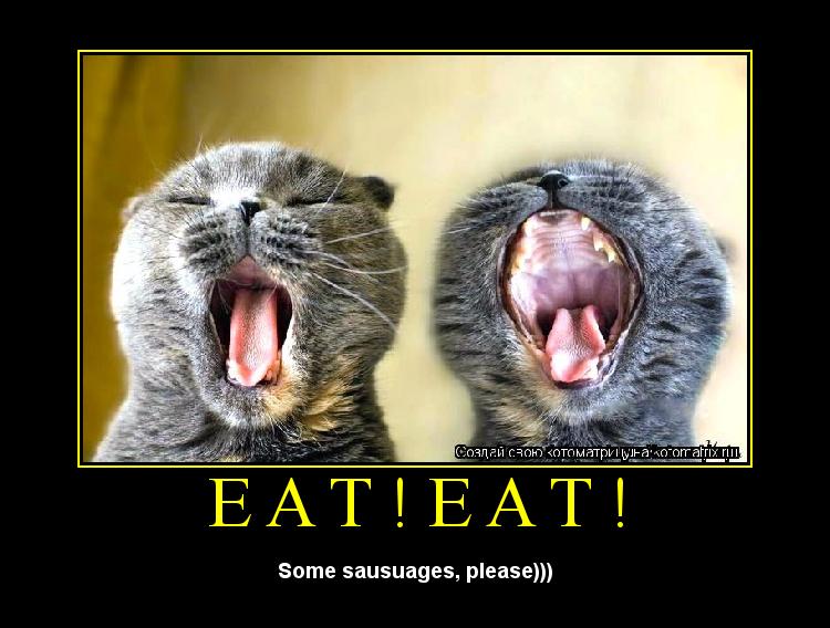 Eat!Eat! Some sausuages, please)))... Котоматрица: Eat!Eat! Some sausuages, please)))