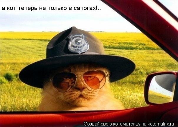 а кот теперь не только в сапогах!..... Котоматрица: а кот теперь не только в сапогах!..