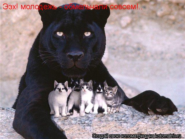 Ээх! молодежь - обмельчали совсем!..... Котоматрица: Ээх! молодежь - обмельчали совсем!..