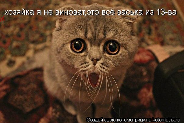 хозяйка я не виноват,это всё васька из хозяйка я не виноват,это всё васька из 13-ва... Котоматрица: хозяйка я не виноват,это всё васька из хозяйка я не виноват,это всё васька из 13-ва