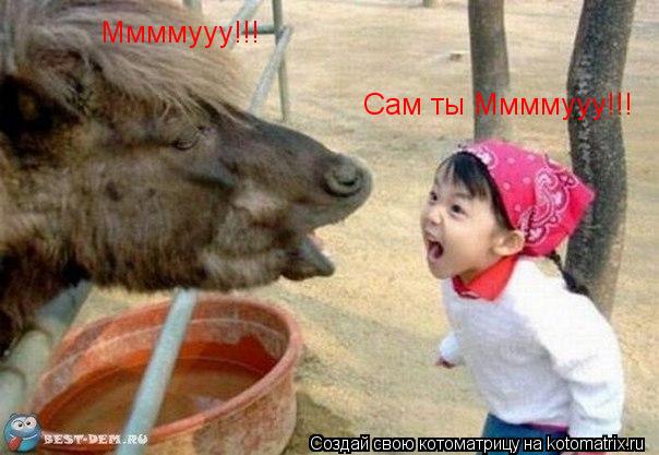 Ммммууу!!! Сам ты Ммммууу!!!... Котоматрица: Ммммууу!!! Сам ты Ммммууу!!!