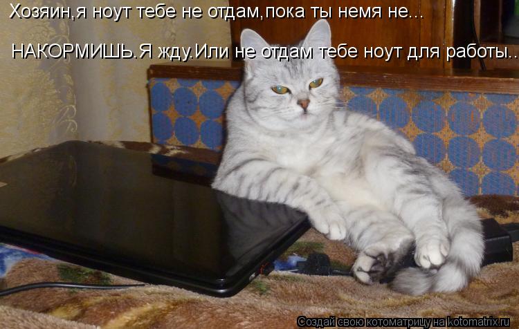 Хозяин,я ноут тебе не отдам,пока ты немя не... НАКОРМИШЬ.Я жду.Или не отдам тебе ноут для работы..... Котоматрица: Хозяин,я ноут тебе не отдам,пока ты немя не... НАКОРМИШЬ.Я жду.Или не отдам тебе ноут для работы..
