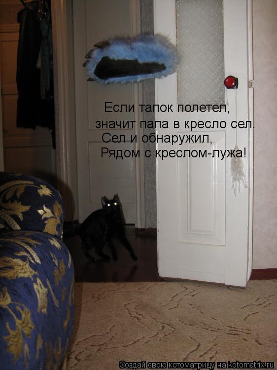 значит папа в кресло сел. Сел и обнаружил, Рядом с креслом-лужа! Если тапок полетел,... Котоматрица: значит папа в кресло сел. Сел и обнаружил, Рядом с креслом-лужа! Если тапок полетел,