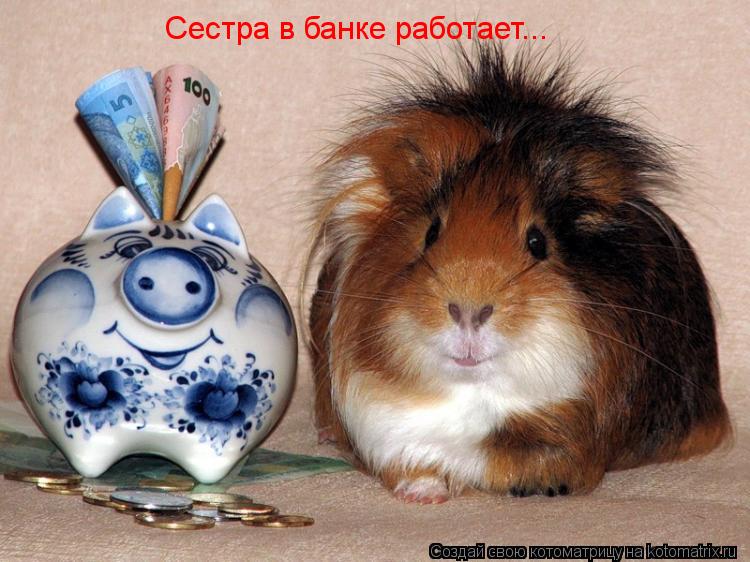Сестра в банке работает...... Котоматрица: Сестра в банке работает...