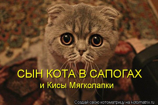 СЫН КОТА В САПОГАХ и Кисы Мягколапки... Котоматрица: СЫН КОТА В САПОГАХ и Кисы Мягколапки