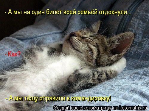 - А мы на один билет всей семьёй отдохнули... - А мы тёщу оправили в командировку! - Как?... Котоматрица: - А мы на один билет всей семьёй отдохнули... - А мы тёщу оправили в командировку! - Как?
