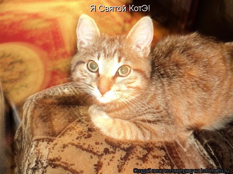 Я Святой КотЭ!... Котоматрица: Я Святой КотЭ!
