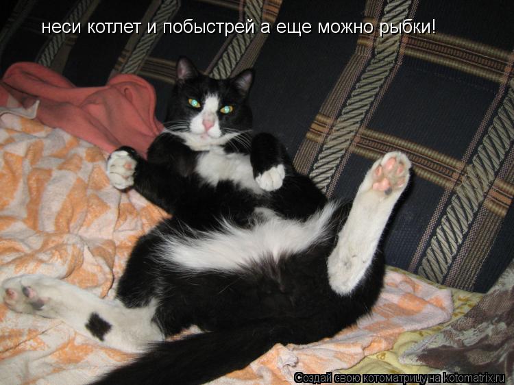 неси котлет и побыстрей а еще можно рыбки!... Котоматрица: неси котлет и побыстрей а еще можно рыбки!