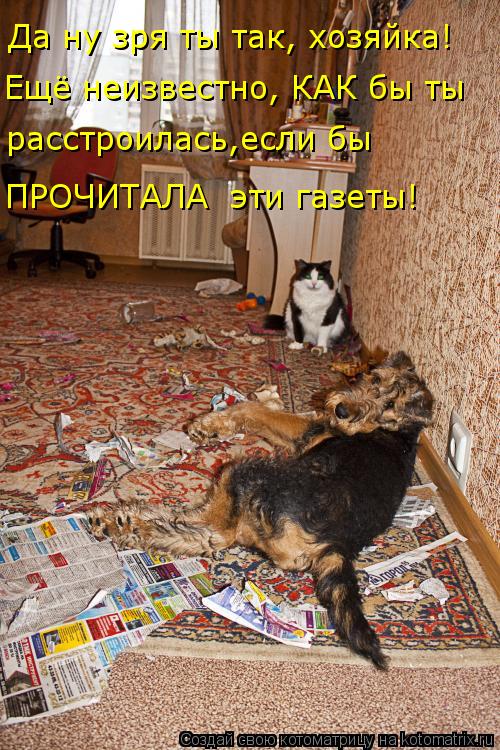 Да ну зря ты так, хозяйка! расстроилась,если бы Ещё неизвестно, КАК бы ты ПРОЧИТАЛА эти газеты!... Котоматрица: Да ну зря ты так, хозяйка! расстроилась,если бы Ещё неизвестно, КАК бы ты ПРОЧИТАЛА эти газеты!