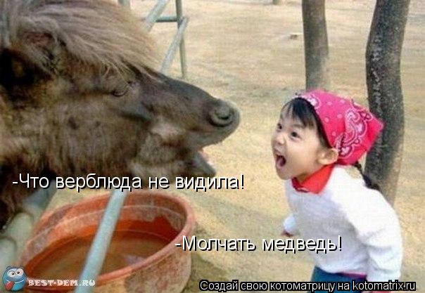 -Что верблюда не видила! -Молчать медведь!... Котоматрица: -Что верблюда не видила! -Молчать медведь!
