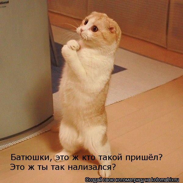 Батюшки, это ж кто такой пришёл? Это ж ты так нализался?... Котоматрица: Батюшки, это ж кто такой пришёл? Это ж ты так нализался?