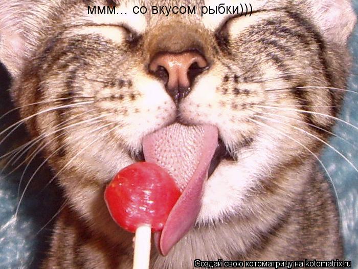 ммм... со вкусом рыбки)))... Котоматрица: ммм... со вкусом рыбки)))