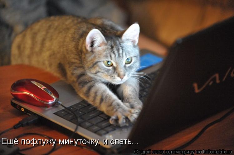 Ещё пофлужу минуточку, и спать...... Котоматрица: Ещё пофлужу минуточку, и спать...