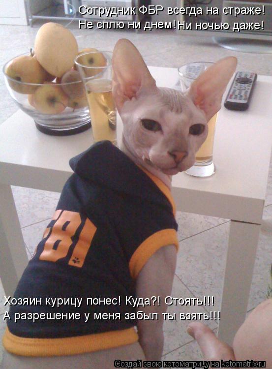 Сотрудник ФБР всегда на страже! Не сплю ни днем! Ни ночью даже! Хозяин курицу понес! Куда?! Стоять!!!... Котоматрица: Сотрудник ФБР всегда на страже! Не сплю ни днем! Ни ночью даже! Хозяин курицу понес! Куда?! Стоять!!! А разрешение у меня забыл ты взять!!!