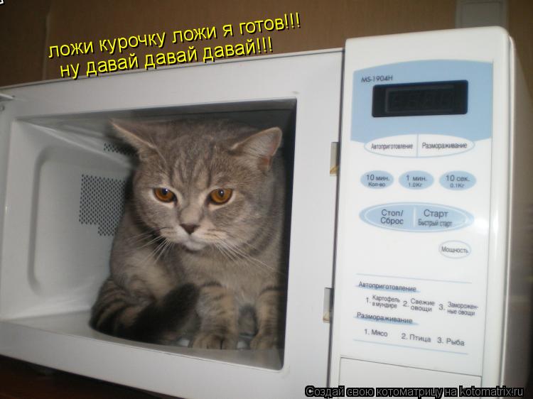ложи курочку ложи я готов ложи курочку ложи я готов!!! ну давай давай давай!!!... Котоматрица: ложи курочку ложи я готов ложи курочку ложи я готов!!! ну давай давай давай!!!
