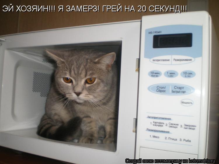 ЭЙ ХОЗЯИН!!! Я ЗАМЕРЗ! ГРЕЙ НА 20 СЕКУНД!!!... Котоматрица: ЭЙ ХОЗЯИН!!! Я ЗАМЕРЗ! ГРЕЙ НА 20 СЕКУНД!!!
