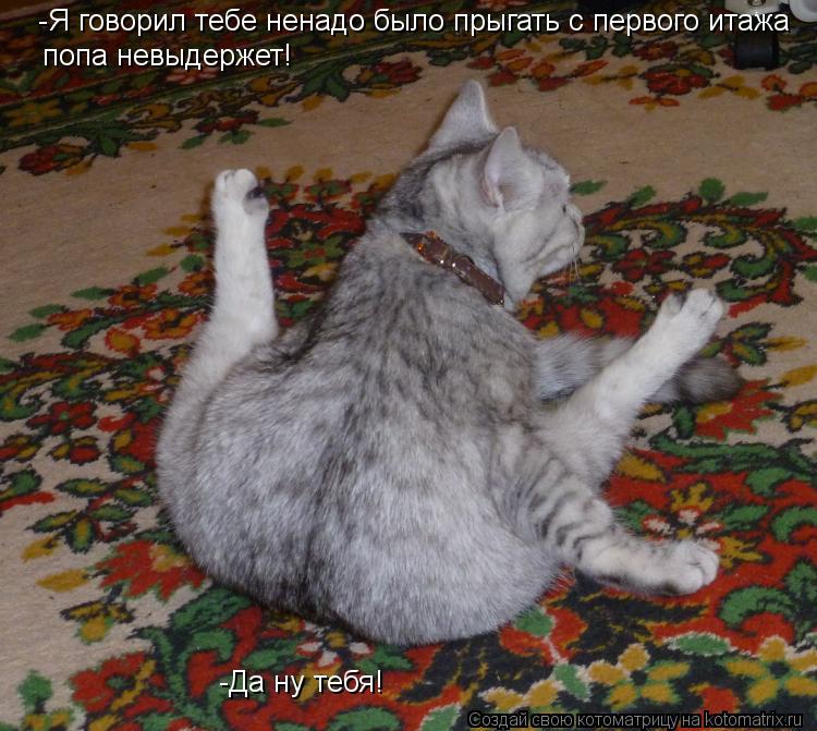-Я говорил тебе ненадо было прыгать с первого итажа попа невыдержет! -Да ну тебя!... Котоматрица: -Я говорил тебе ненадо было прыгать с первого итажа попа невыдержет! -Да ну тебя!