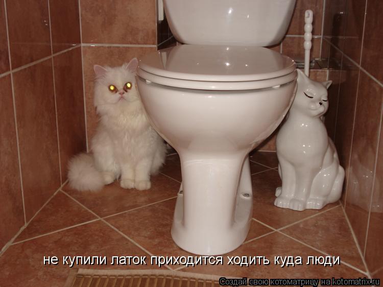 не купили латок приходится ходить куда люди... Котоматрица: не купили латок приходится ходить куда люди