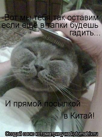 -Вот мы тебя так оставим если ещё в тапки будешь гадить... И прямой посылкой в Китай!... Котоматрица: -Вот мы тебя так оставим если ещё в тапки будешь гадить... И прямой посылкой в Китай!