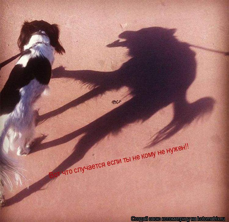 Вот что случается если ты не кому не нужен!!... Котоматрица: Вот что случается если ты не кому не нужен!!
