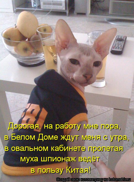 Дорогая, на работу мне пора, в Белом Доме ждут меня с утра, в овальном кабинете пролетая муха шпионаж... Котоматрица: Дорогая, на работу мне пора, в Белом Доме ждут меня с утра, в овальном кабинете пролетая муха шпионаж ведёт в пользу Китая!