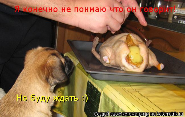 Я конечно не понмаю что он говорит! Но буду ждать :)... Котоматрица: Я конечно не понмаю что он говорит! Но буду ждать :)