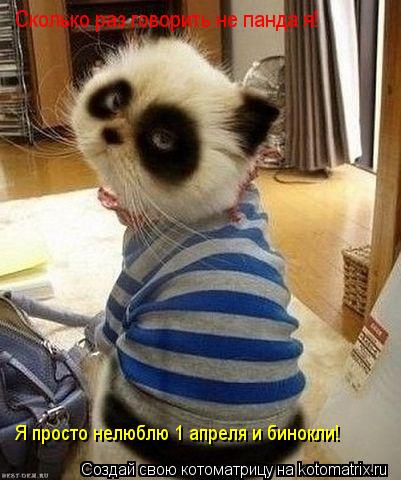 Сколько раз говорить не панда я! Я просто нелюблю 1 апреля и бинокли!... Котоматрица: Сколько раз говорить не панда я! Я просто нелюблю 1 апреля и бинокли!