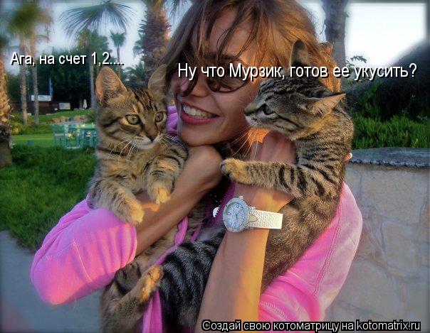 Ну что Мурзик, готов ее укусить? Ага, на счет 1,2....... Котоматрица: Ну что Мурзик, готов ее укусить? Ага, на счет 1,2....