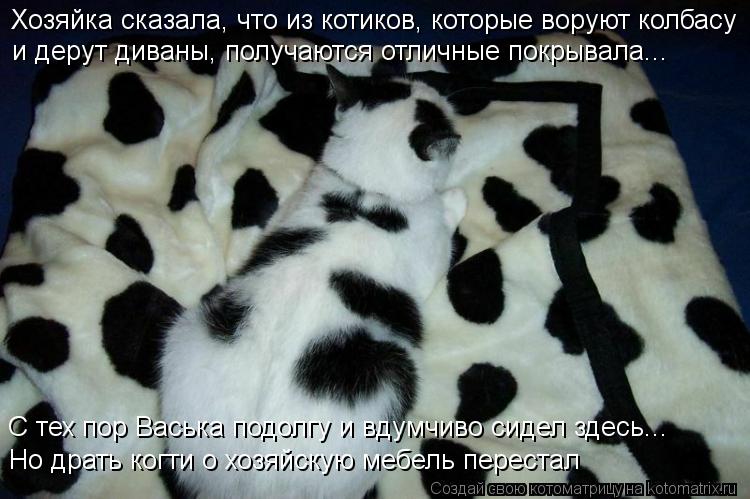 Хозяйка сказала, что из котиков, которые воруют колбасу и дерут диваны, получаются отличные покрывала... Котоматрица: Хозяйка сказала, что из котиков, которые воруют колбасу и дерут диваны, получаются отличные покрывала... С тех пор Васька подолгу и вдумчиво