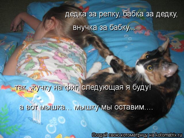 а вот мышка... мышку мы оставим.... так, жучку на фиг, следующая я буду! внучка за бабку... дедка за... Котоматрица: а вот мышка... мышку мы оставим.... так, жучку на фиг, следующая я буду! внучка за бабку... дедка за репку, бабка за дедку,