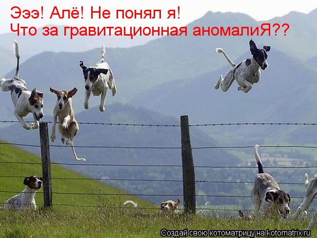 Эээ! Алё! Не понял я! Что за гравитационная аномалиЯ??... Котоматрица: Эээ! Алё! Не понял я! Что за гравитационная аномалиЯ??