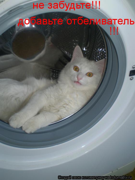 добавьте отбеливатель не забудьте!!! !!!... Котоматрица: добавьте отбеливатель не забудьте!!! !!!